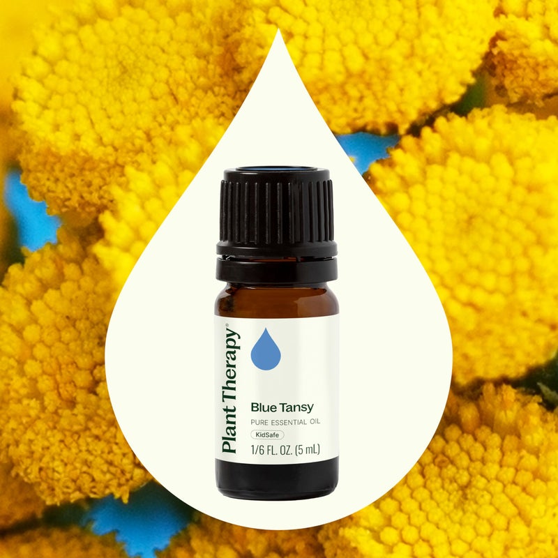 Plant Therapy Blue Tansy Essential Oil 100% Pure, Undiluted, Natural Aromatherapy, Therapeutic Grade 5 mL (1/6 oz) - Image 3